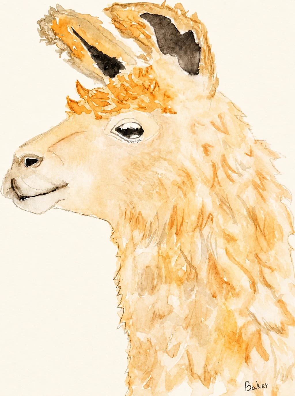 Watercolor llama inspired by Baker's original painting
