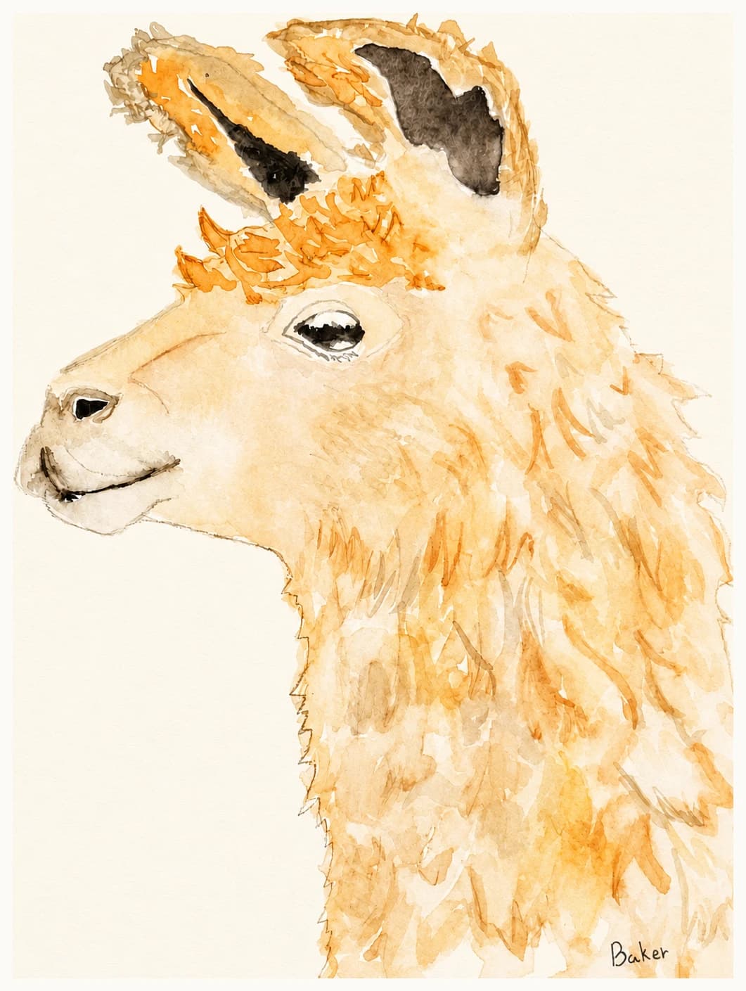 Watercolor portrait of a llama