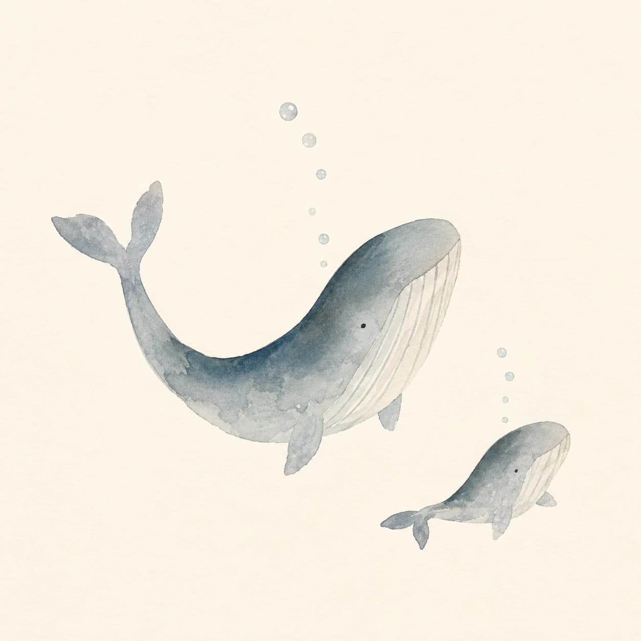Watercolor painting of two whales