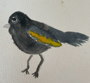 Black Bird