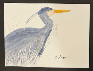 Blue Heron