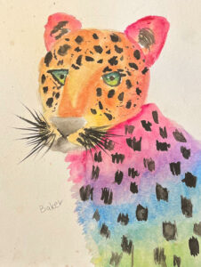 Cheetah