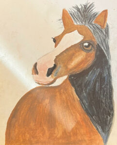 Horse