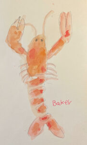 Lobster