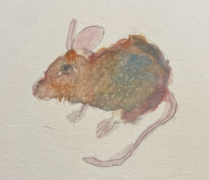 Mouse