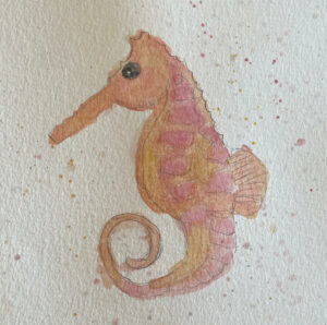 Seahorse