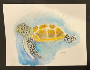 Sea Turtle
