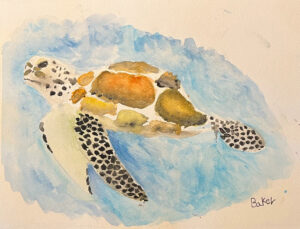 Sea Turtle 2