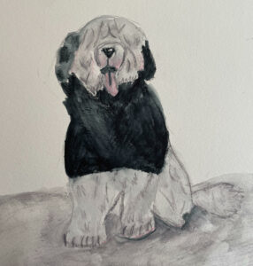 Sheepdog 2
